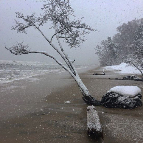 ꧁⎝ 𓆩༺✧༻𓆪 ⎠꧂