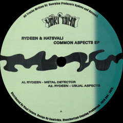 PREMIERE: Rydeen - Metal Detector [Yoki Tomo Records]