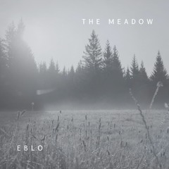 01 - The Meadow (Original Mix)