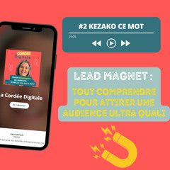 Lead Magnet (1/2) : tout comprendre pour attirer une audience ultra quali