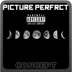 Picture Perfect
