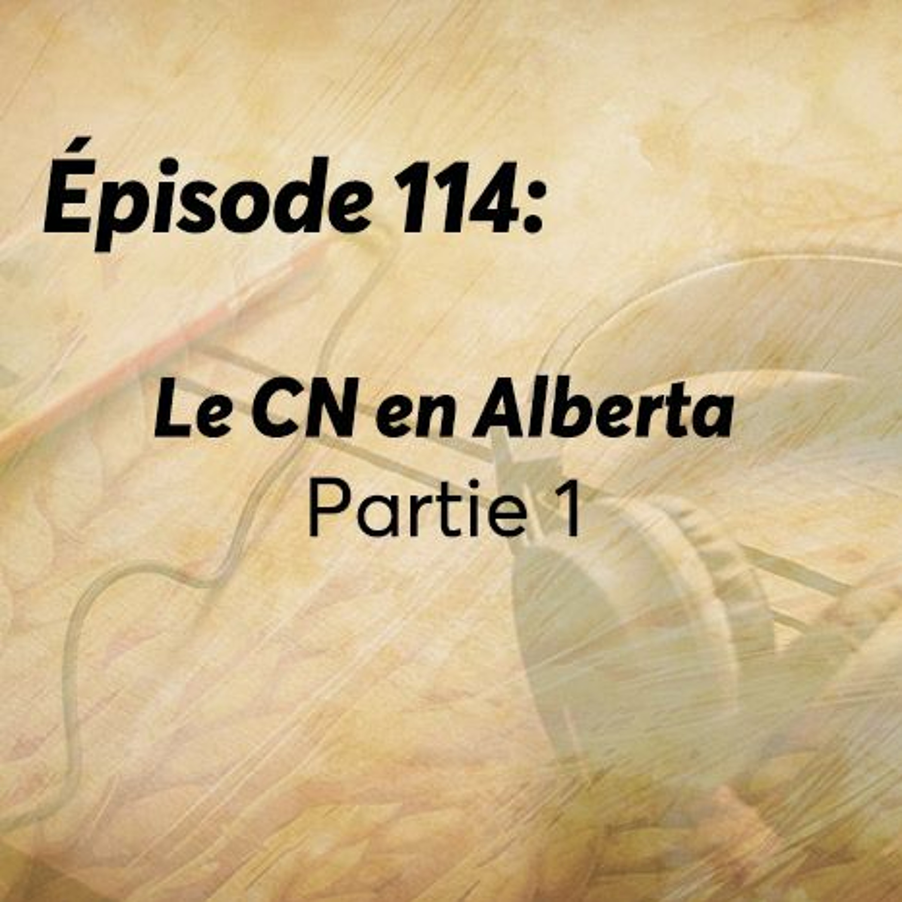 Épisode 114 : Le CN en Alberta partie 1 : Favoriser la fluidité des envois