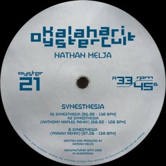 Nathan Melja - Synesthesia (Behne Rework)