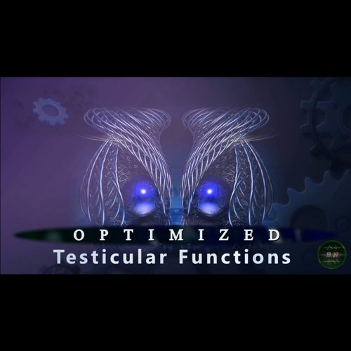 TESTES - Optimized Testicular Functions (Steroidogenesis & Spermatogenesis, Volume, Blood Flow)