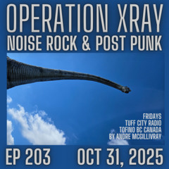 Operation XRAY EP 203 - EP 203 - Oct 31, 2025
