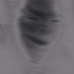 Teddy