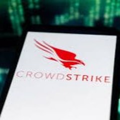 Video Crowdstrike Outage Reddit