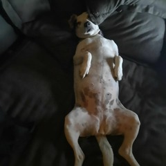 Take Your Time (ft. Melissa Hagerty)