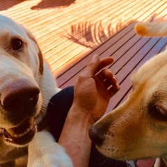 Coming Through (Lyrics in Description)