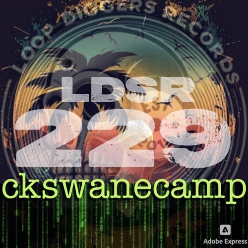 LDSR - ckswanecamp 3