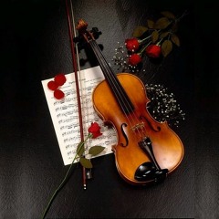 Violin Diary I