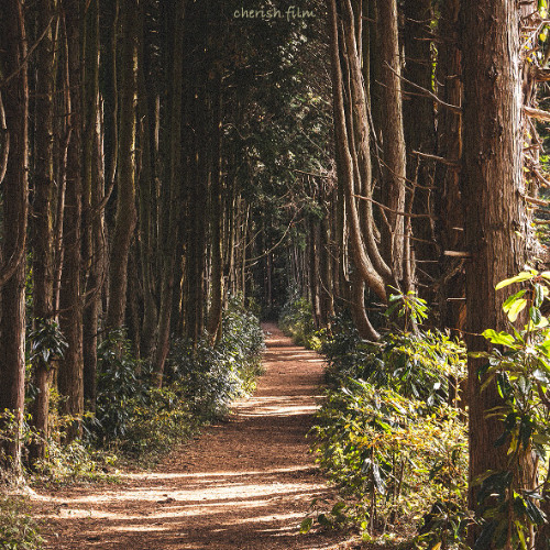 [팟캐스트 : 꿰뚫어보듯 응시하라]눅12:27