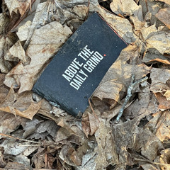 I fall in Love Too Easily