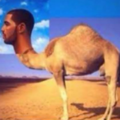 SEGGSMETEENMAN FT SPACEBIKS (remix)