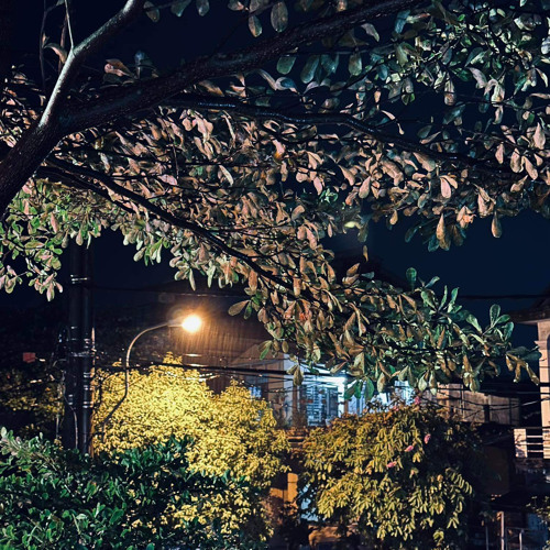 Trà Đào Cam Sả Vol 4