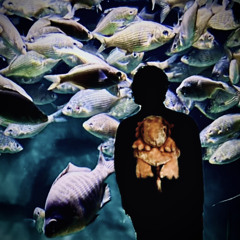 Slowdowjn (prod.dmdonthebeat)