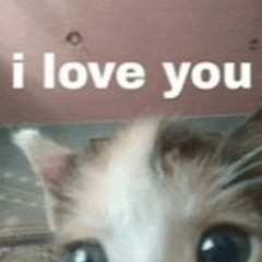 Meowington - What I Need (it's you)