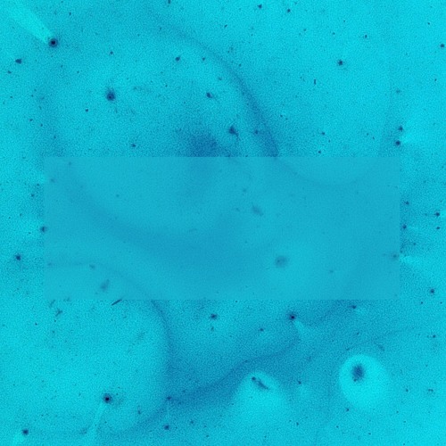 Marius Wilk - Point Nemo (Dario Rivas Remix)