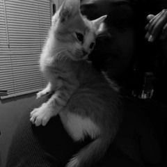 b3N0 Kaarriiiii Boy Drugs