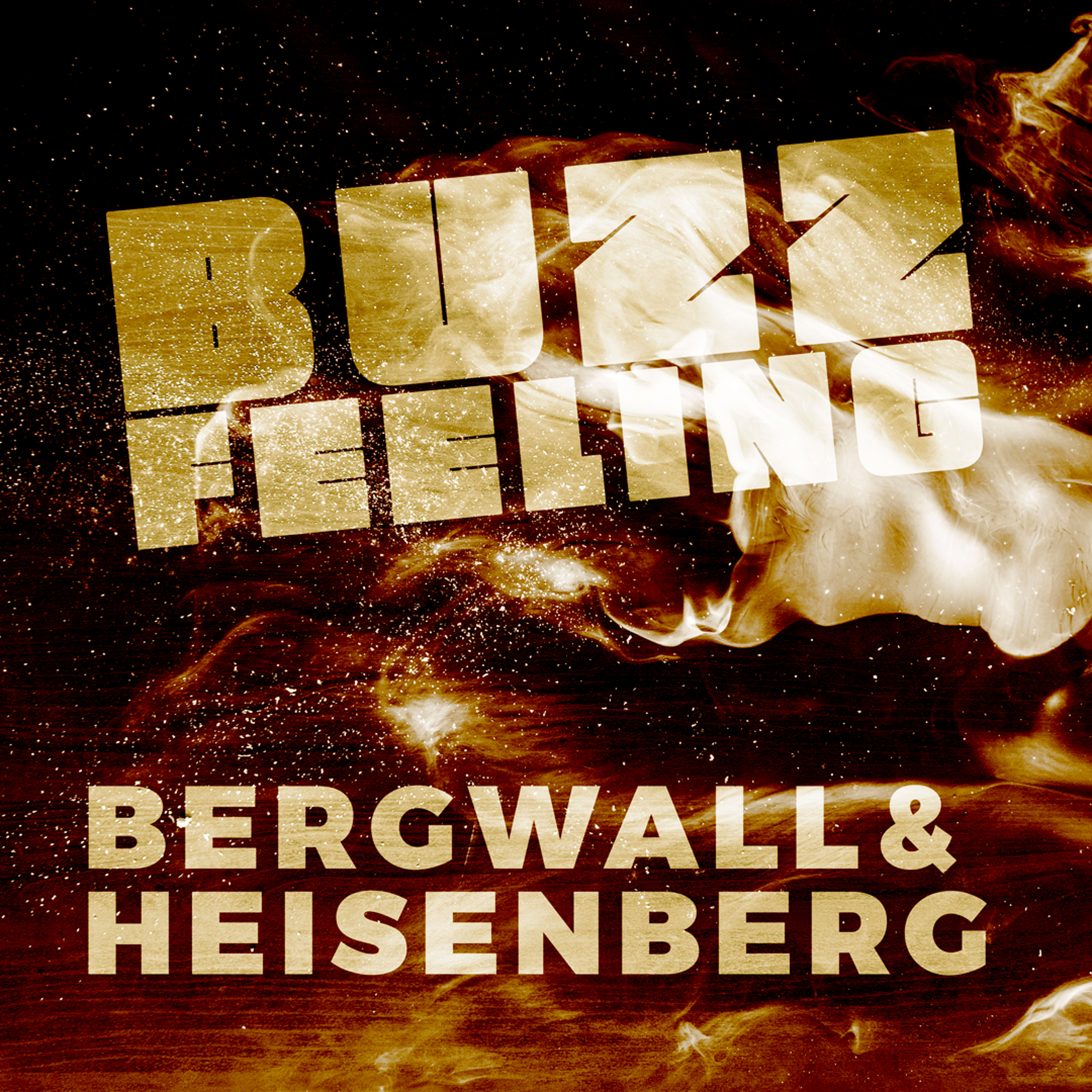 FLIPSIDE by BERGWALL