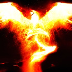 Shyntwirl - Ashes Of The Phoenix On My Skin