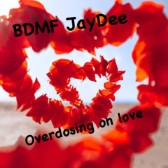 User BDMF JayDee (J.R.Capone Mix).mp3