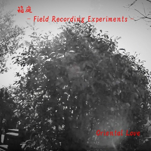 Stream Field Recording Experiments 7 北池袋ドン キホーテ Kita Ikebukuro Don Quijote In Tokyo By Oriental Love Listen Online For Free On Soundcloud