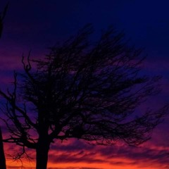 Nicolsky - Haztelapista 23