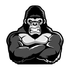 gorilla boog - watch yo mouth.wav