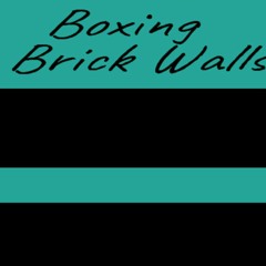 Boxing Brick Walls