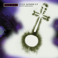Little Wonder (Danny Saber Unplugged Mix)