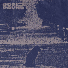 Dog on Acid - I am empty