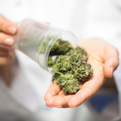 Hohe Standards, niedrige Hürden – Medizinisches Cannabis bei GreenMedical