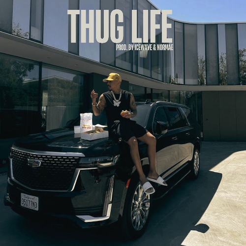 Stream JAZEEK & LUCIANO - THUG LIFE | REMIX BY ICEWAVE by