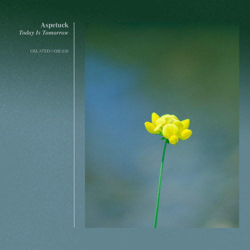 Indefinite Pitch PREMIERES. Aspetuck - The Week Is Ours [Oslated]