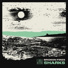 Sharks - Edit