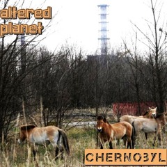 Chernobyl