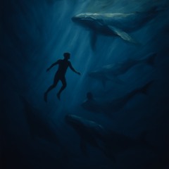 Ocean (David Attenborough)