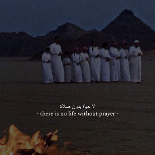 Stream ya quluban by abdullah al sinani (vocals onlysped up) by