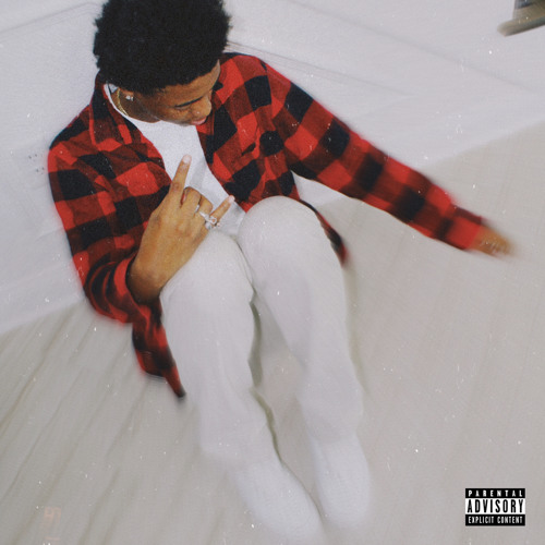 Ty2Fly - SILLY