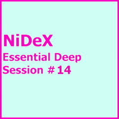 Essential Deep Session #14