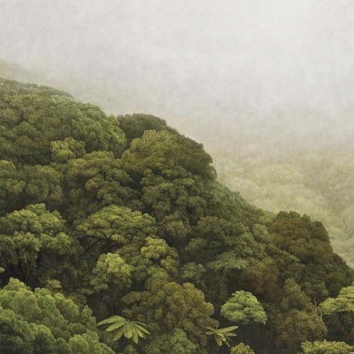 cicadahighschoolrooftop.mp3