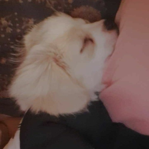 Me - 浪漫小紅歌REMIXxxxmiracle_320kbps.mp3