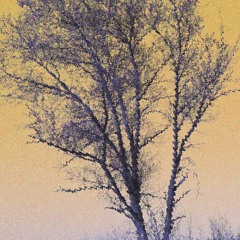 DUSK to DAWN