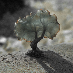 SMV013 - Justin Berkovi