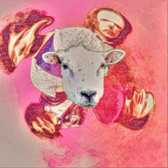 who let all these animals out in my yard