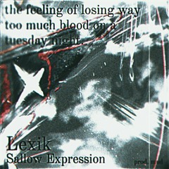 the feeling of losing way too much blood on a tuesday night (ft. sallow expression) (prod. mud)