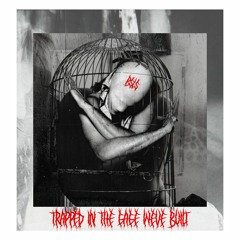 TRAPPED IN THE CAGE WE'VE BUILT