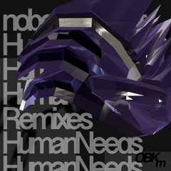 nobody_robot - On Rails (ハナカミリュウ Remix)