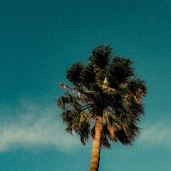 [rb_XII] Nature - 130 - C